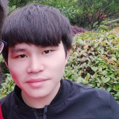 疯狂苦恋含羞草的照片