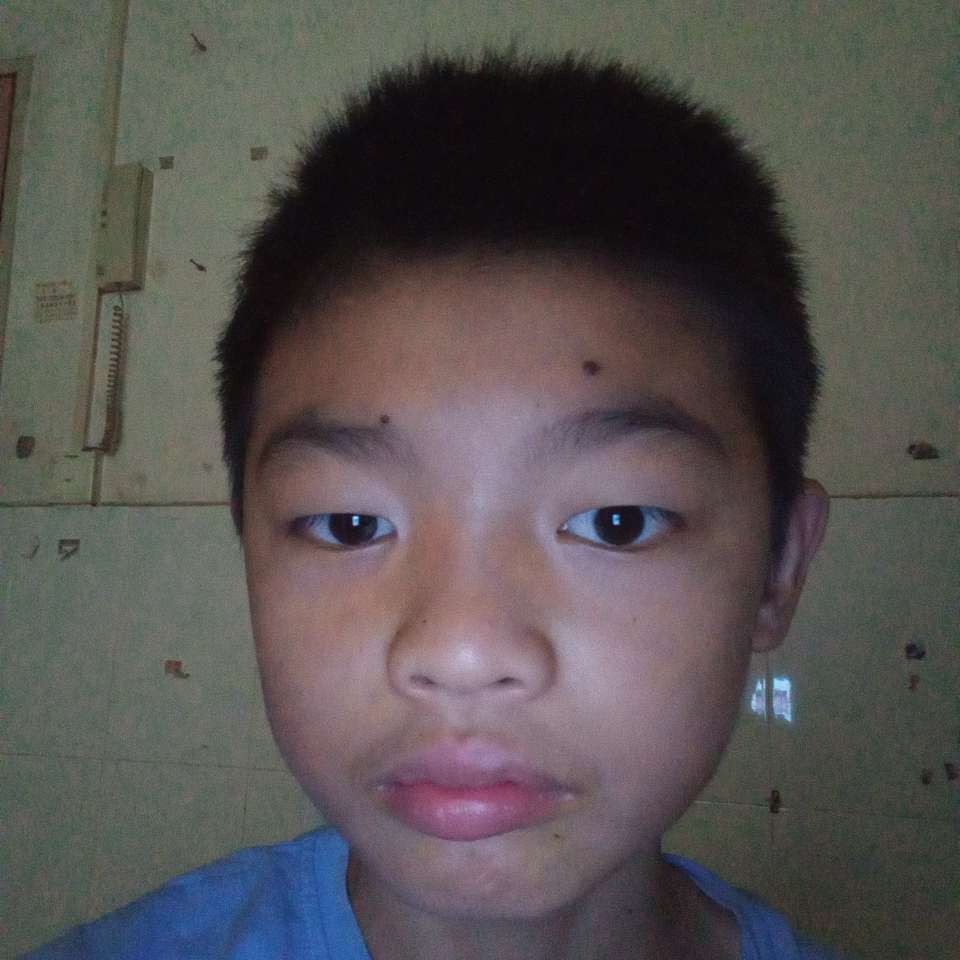 乌龟健康的照片