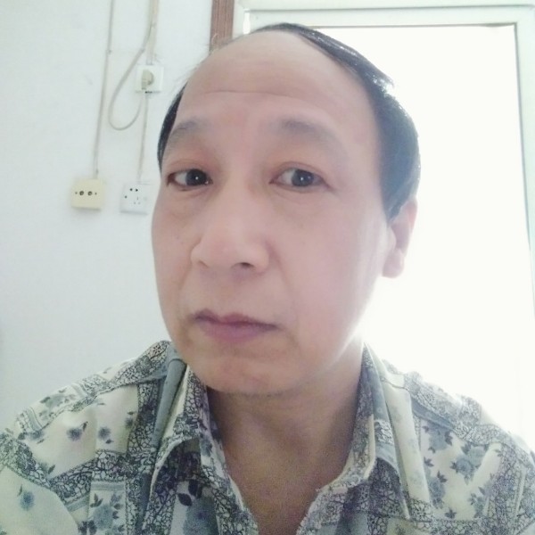 沉静火车的照片