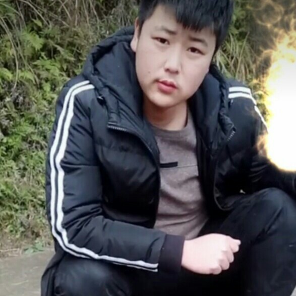 黄豆矮小的照片