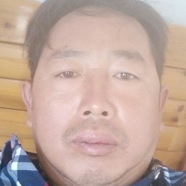 蘩藜多么美丽的照片