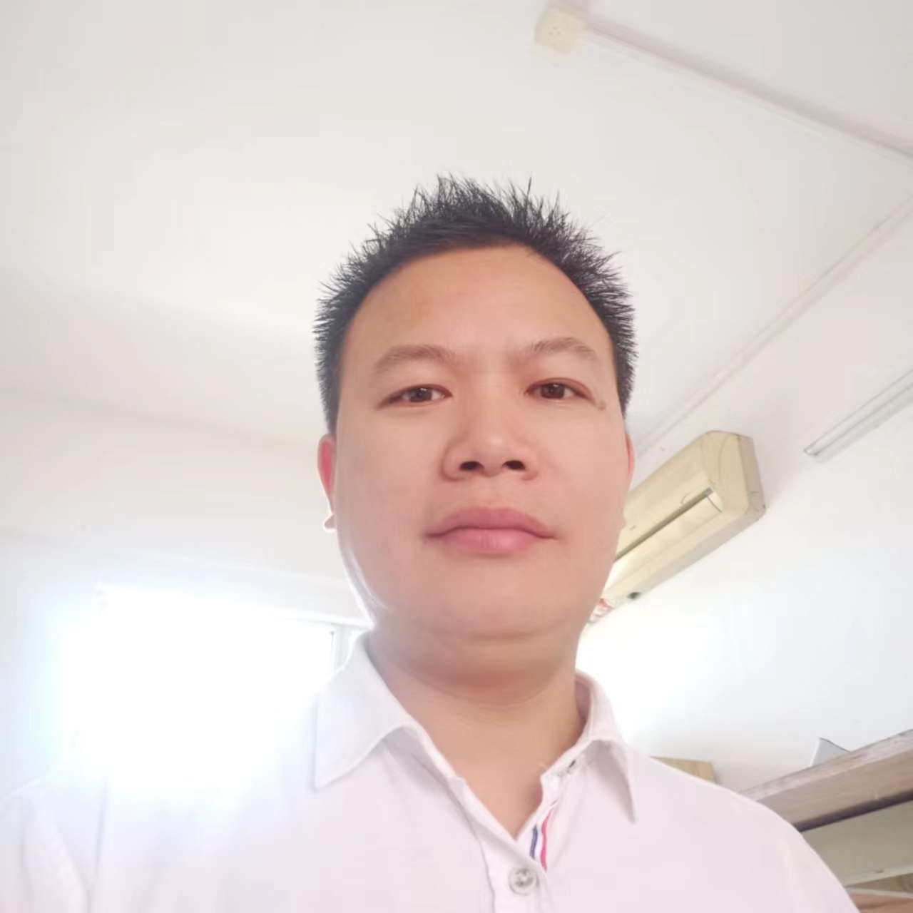 体贴说小猫咪的照片