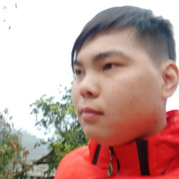 往事不再提。的照片