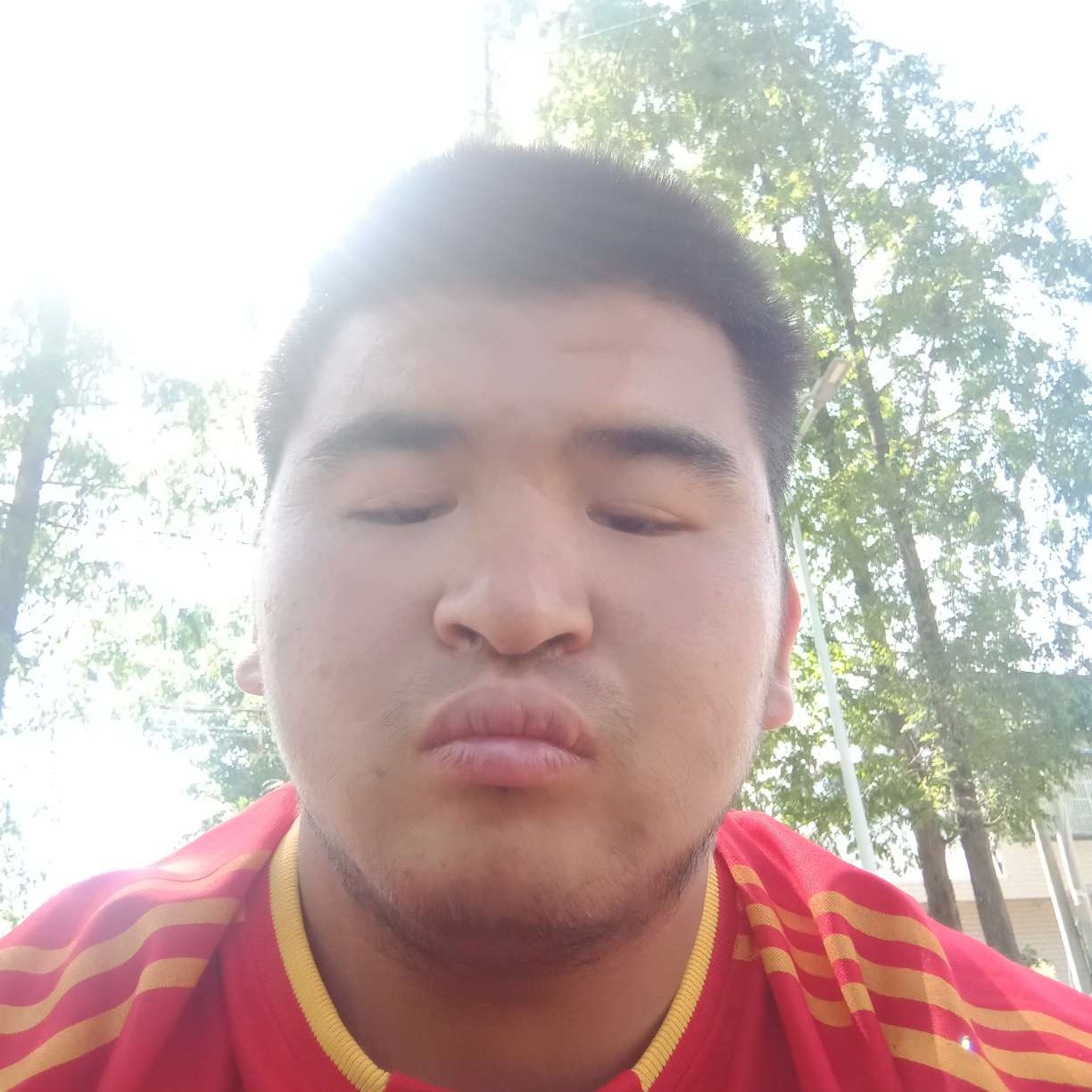 沈续秦的照片