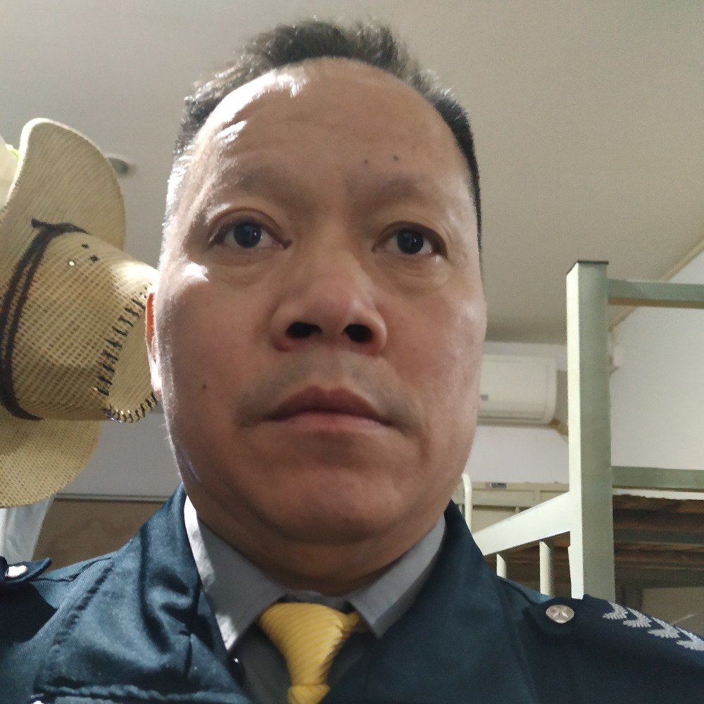 老实放弃歌曲的照片