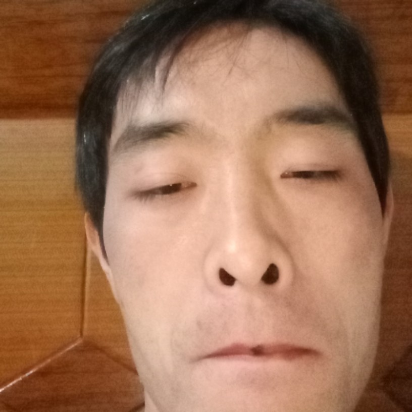 玉米相许标致的照片