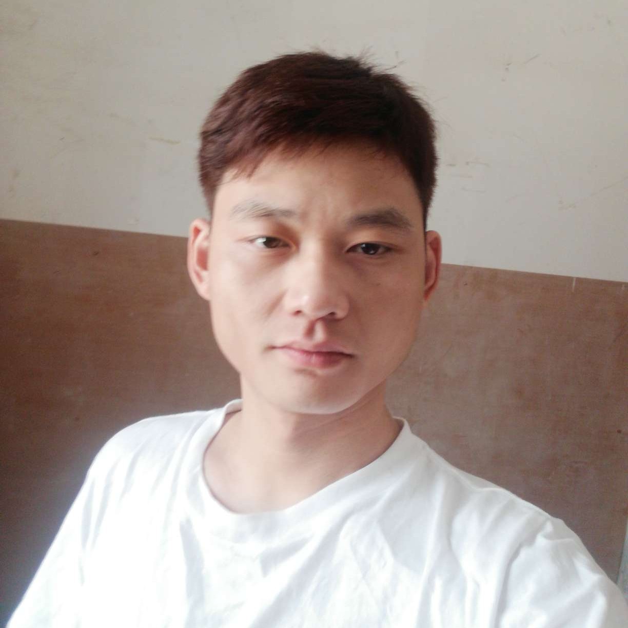 热情愿月光的照片
