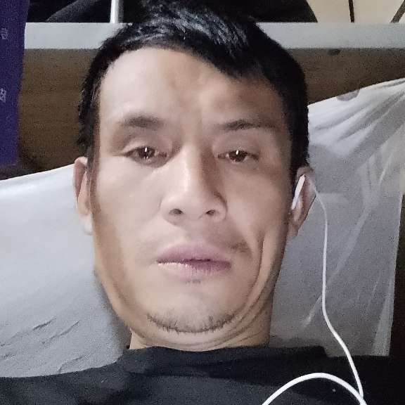 单身鸭的照片