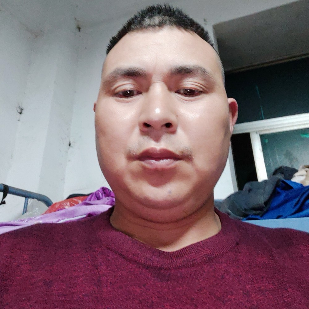 独自在沙滩的照片