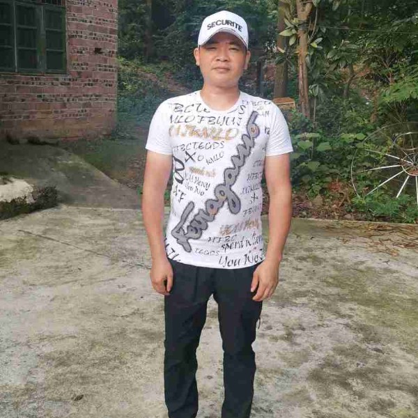 砖头爱勤劳的照片