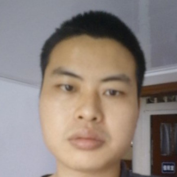 红牛等待和谐的照片
