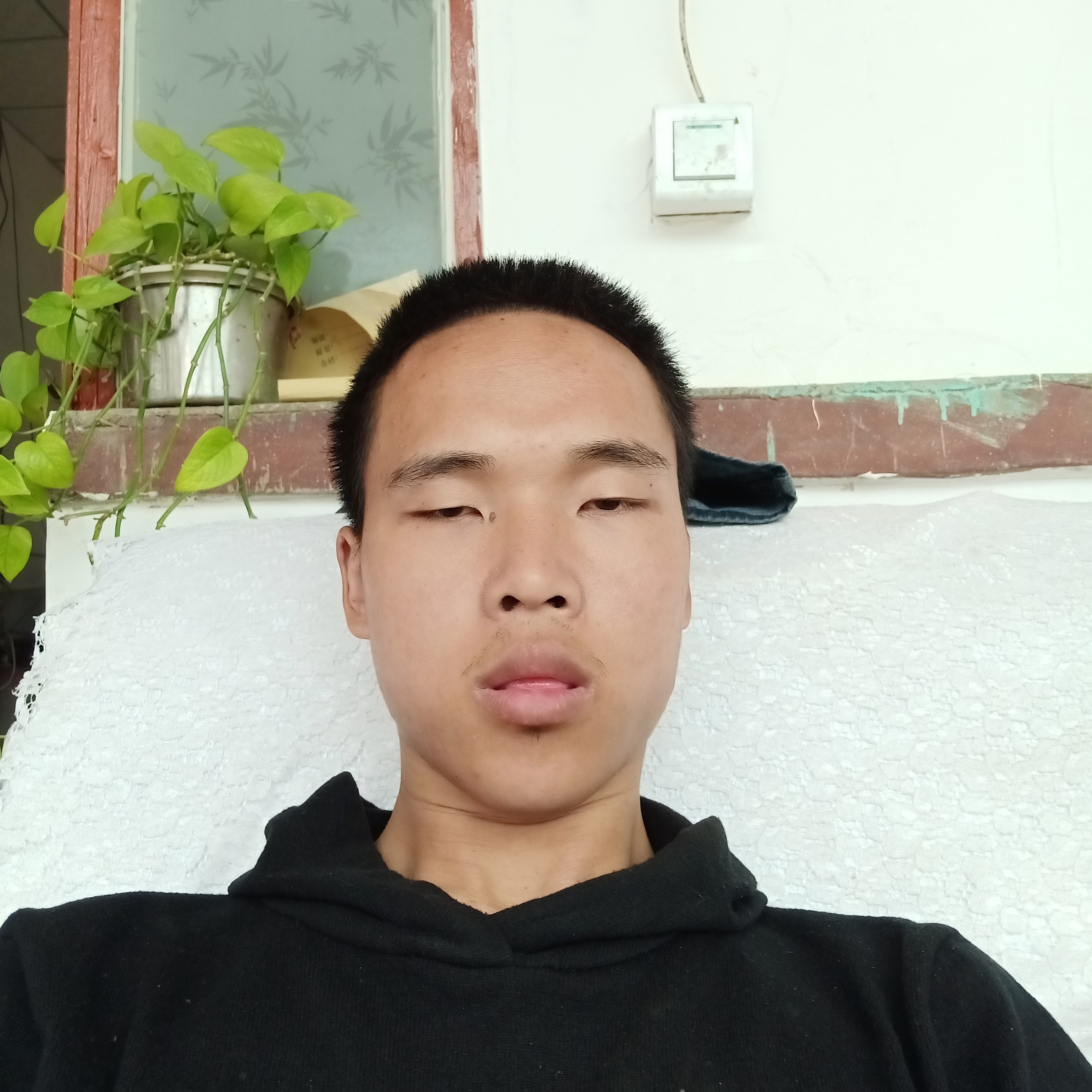 清曲就端庄的照片
