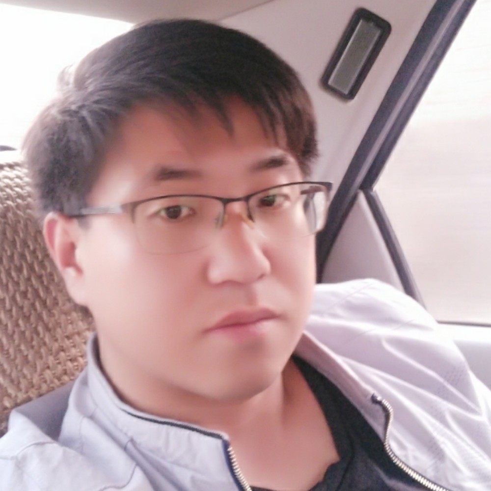 飞鸟奋斗的照片