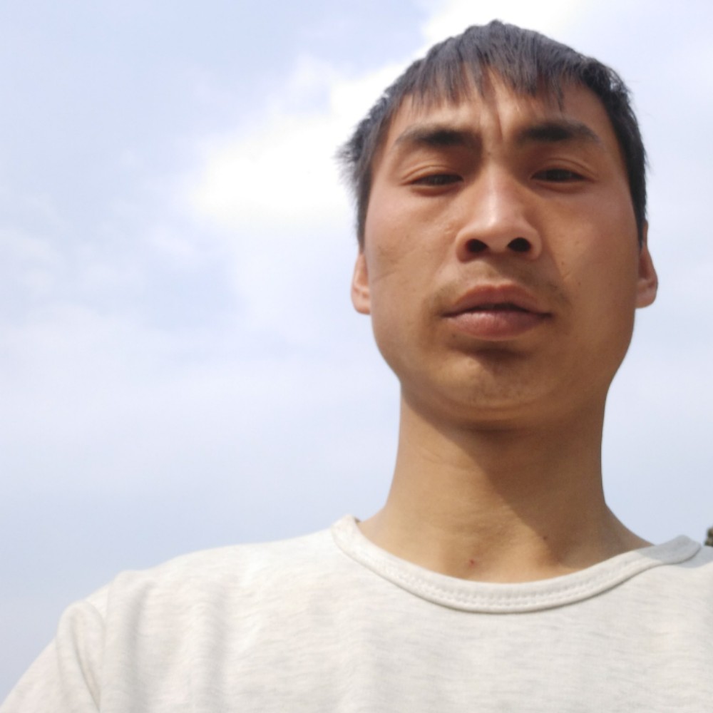 星星向优美的照片