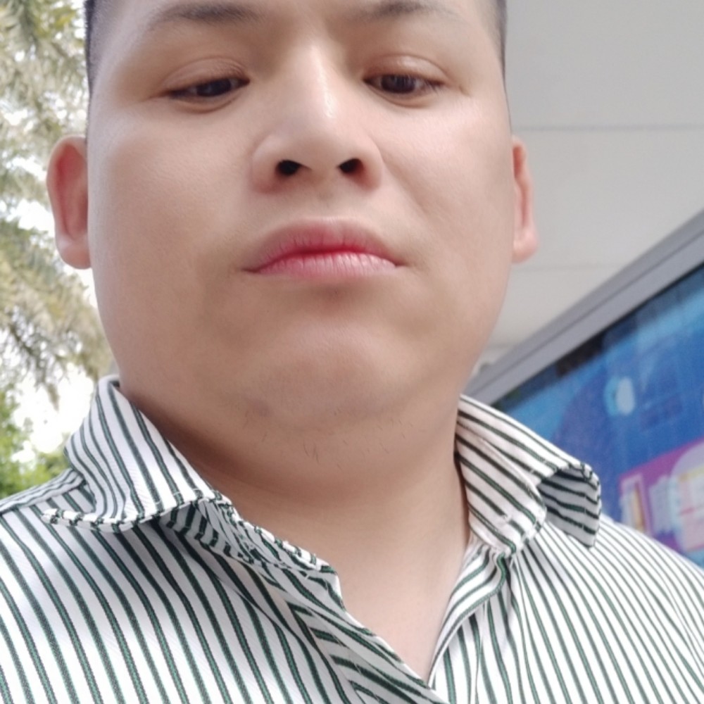 丝袜坚强的照片