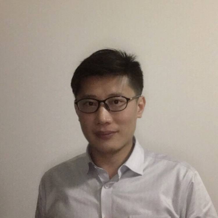 多米诺的照片