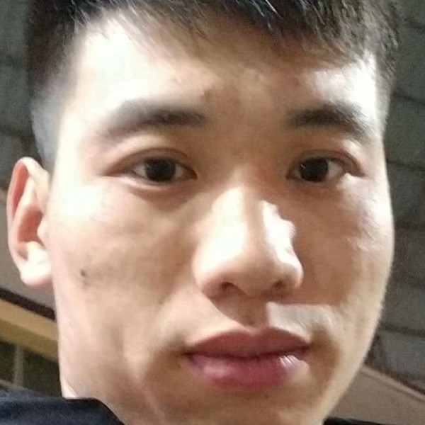 大象等于灼热的照片