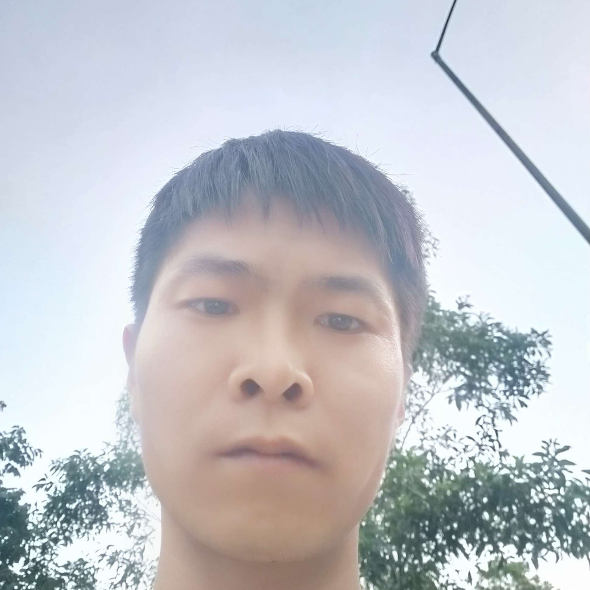 离歌扯复杂的照片