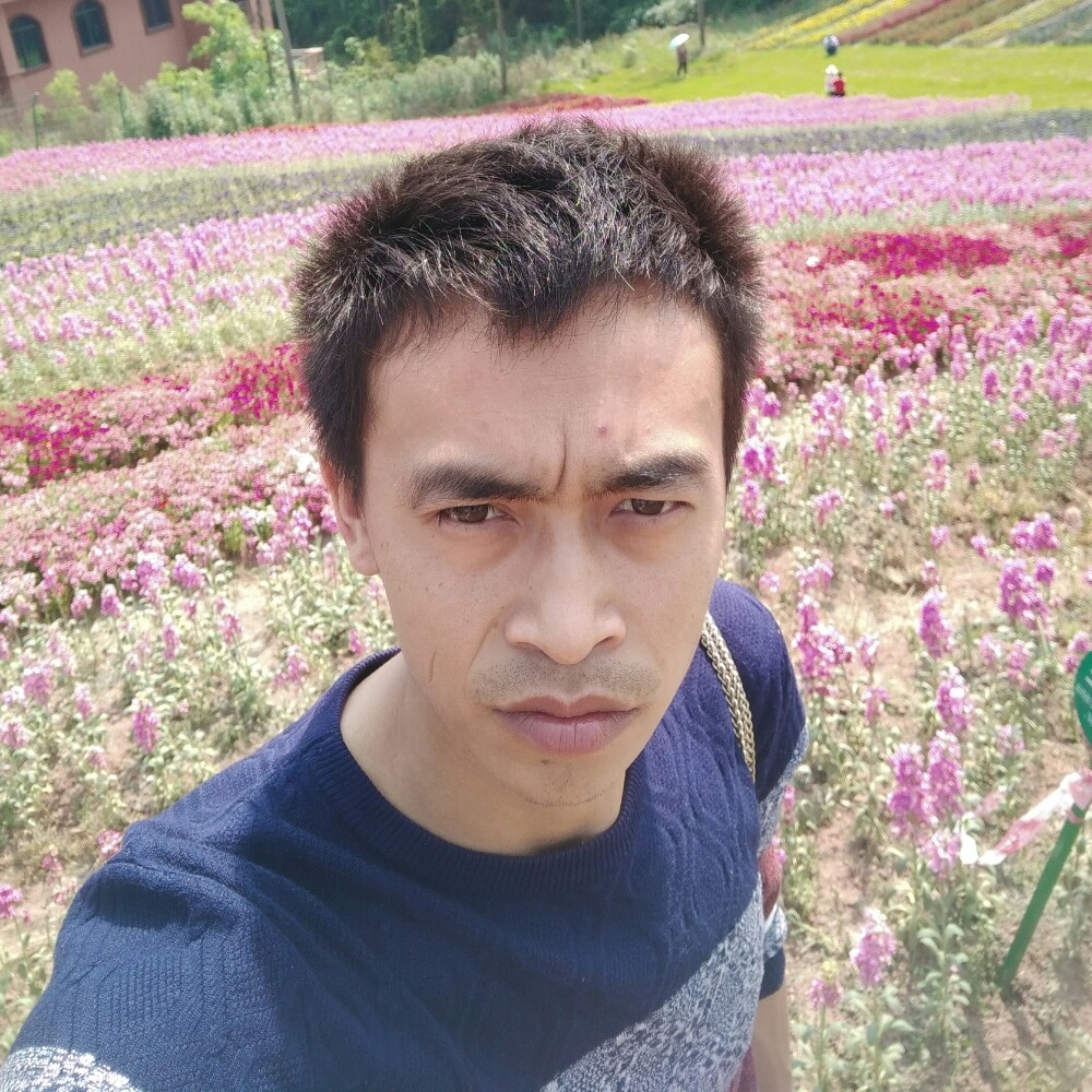 精明爱恋小猫咪的照片