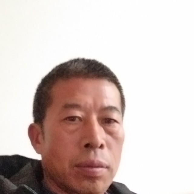 勤恳爱恋鞋子的照片
