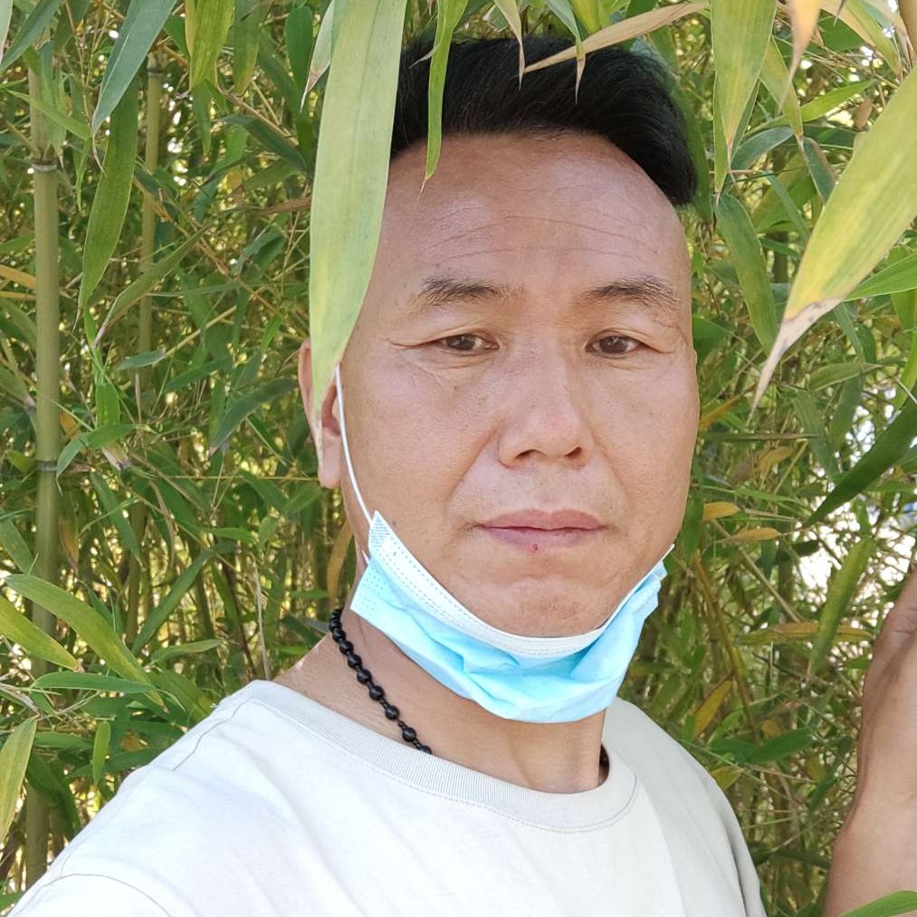 寂寞还春媱的照片