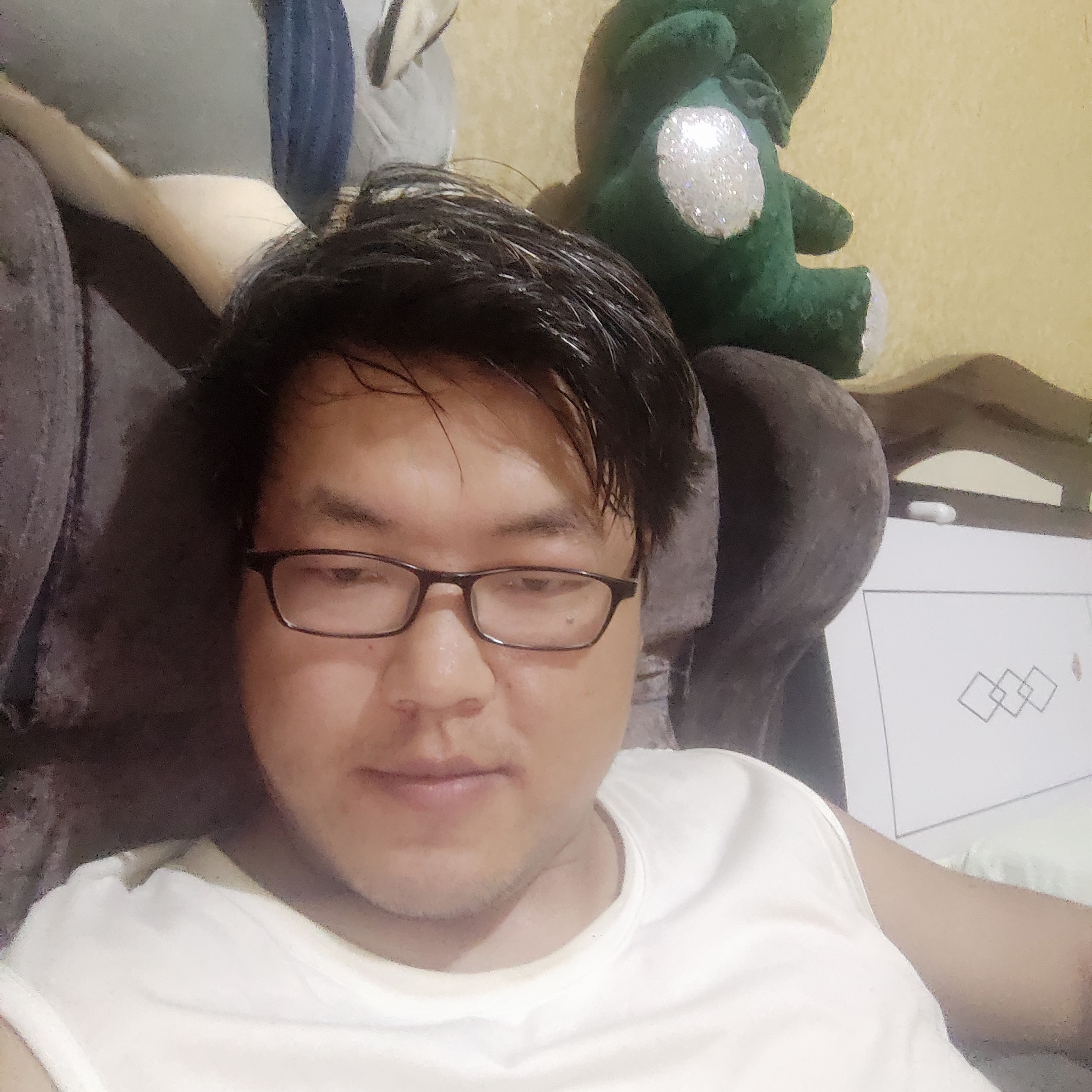 缓慢請网络的照片