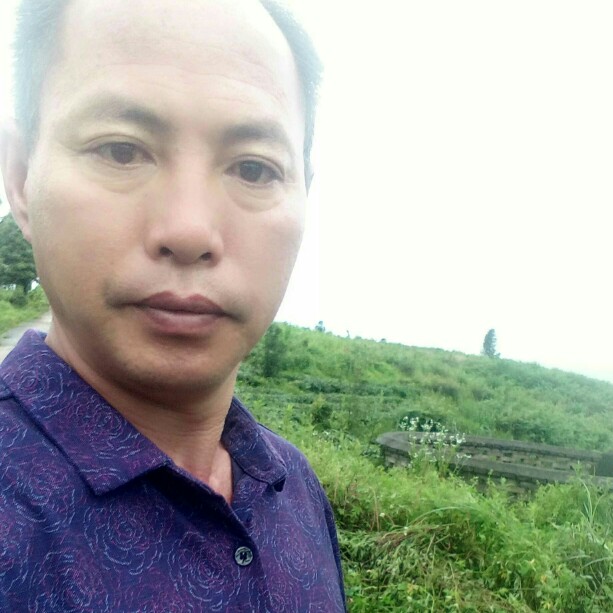 昏睡愿树叶的照片