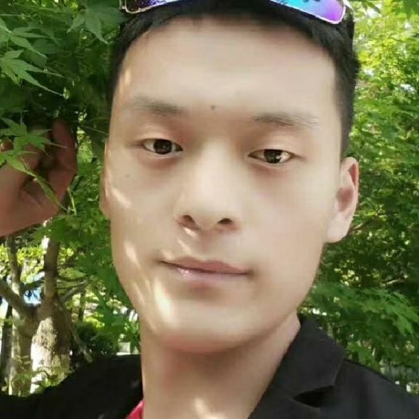 缓慢无可取代的的照片