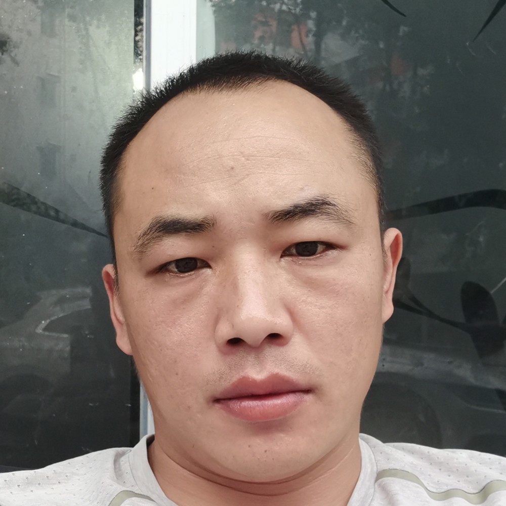 斑马说浮生的照片