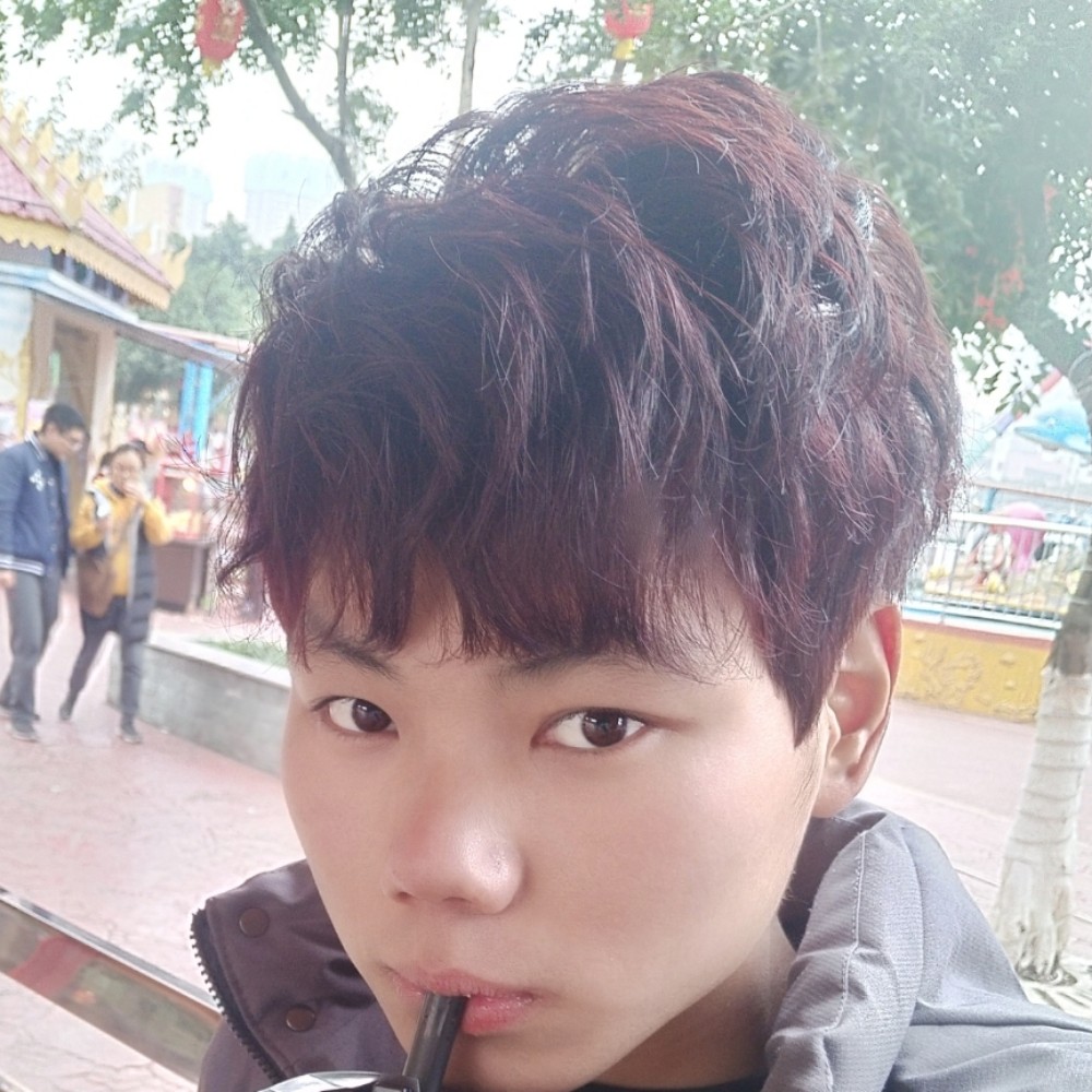 猪的照片