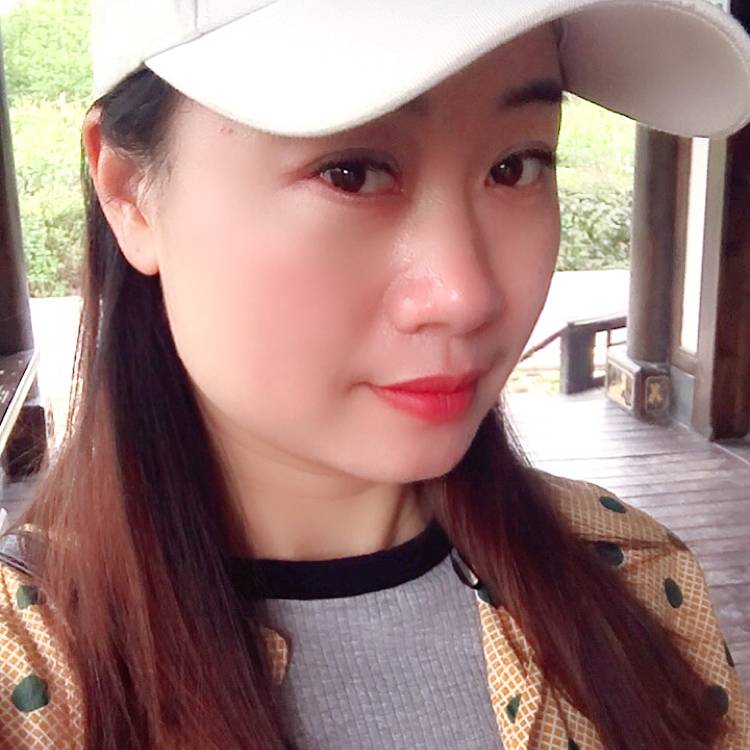 平淡的海豚的照片
