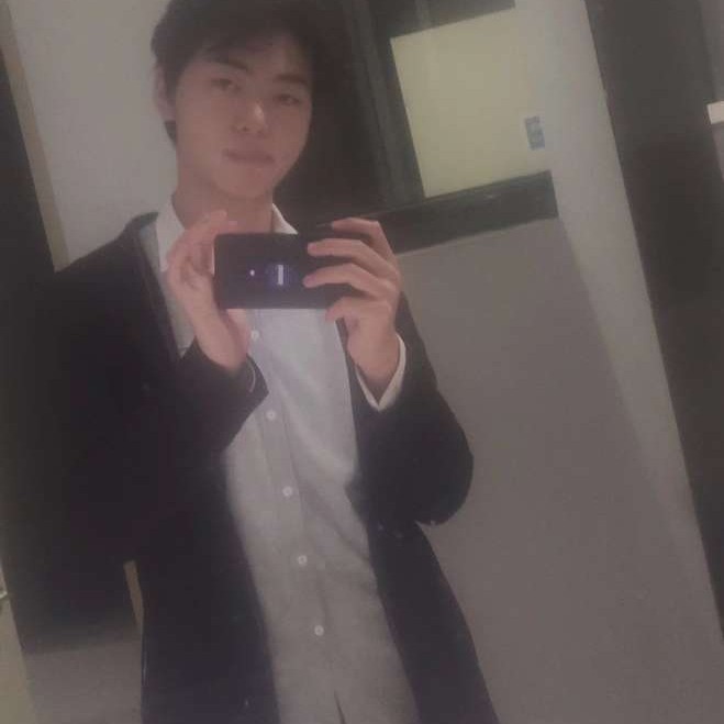 勇敢的树袋熊的照片