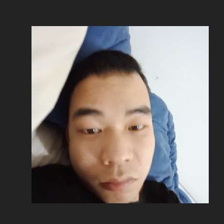 康乃馨用感性的照片