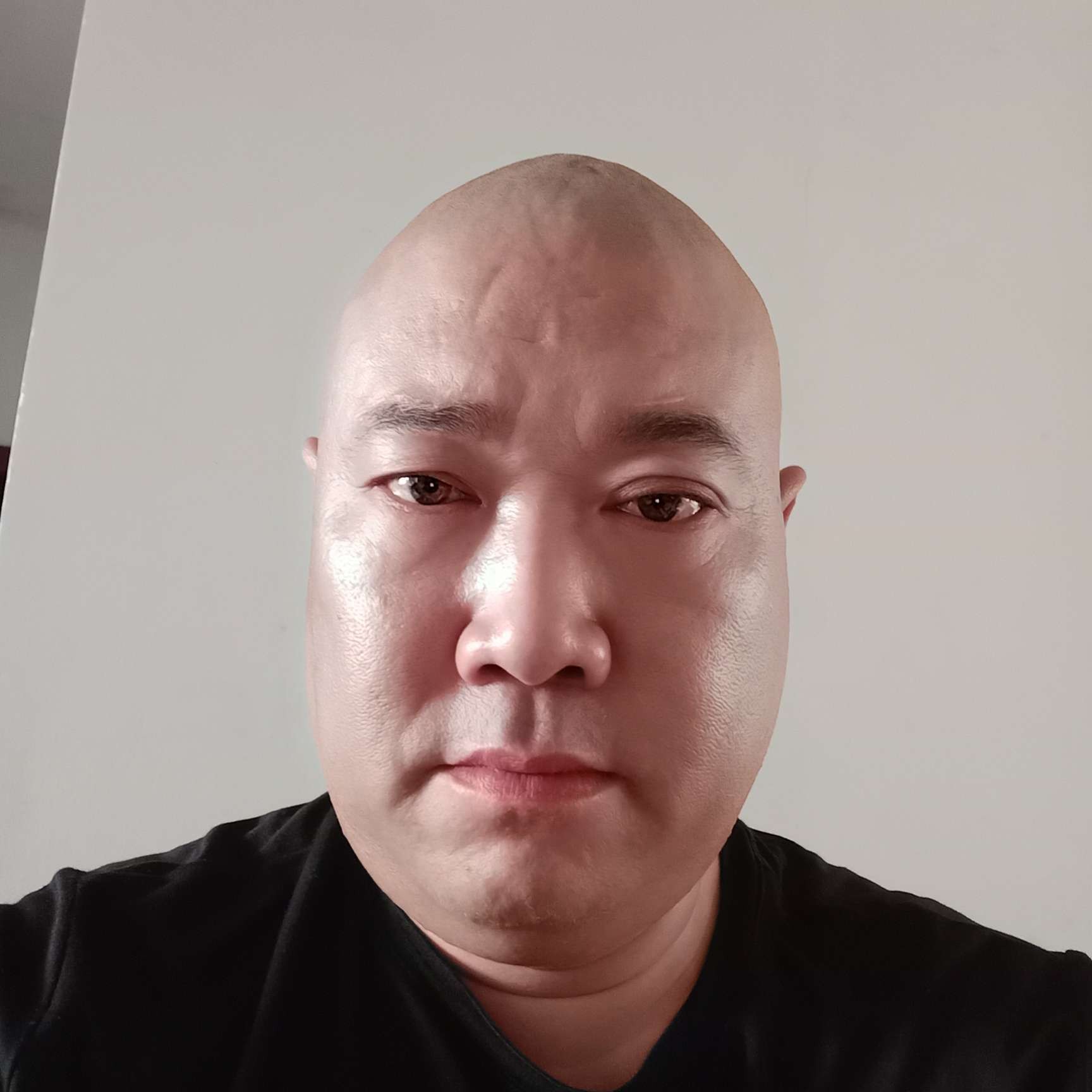 奇异果的优美的照片