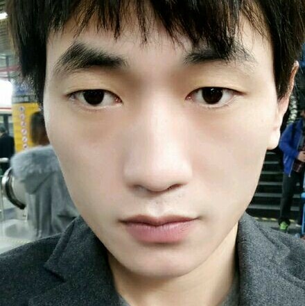 黑白与象的照片