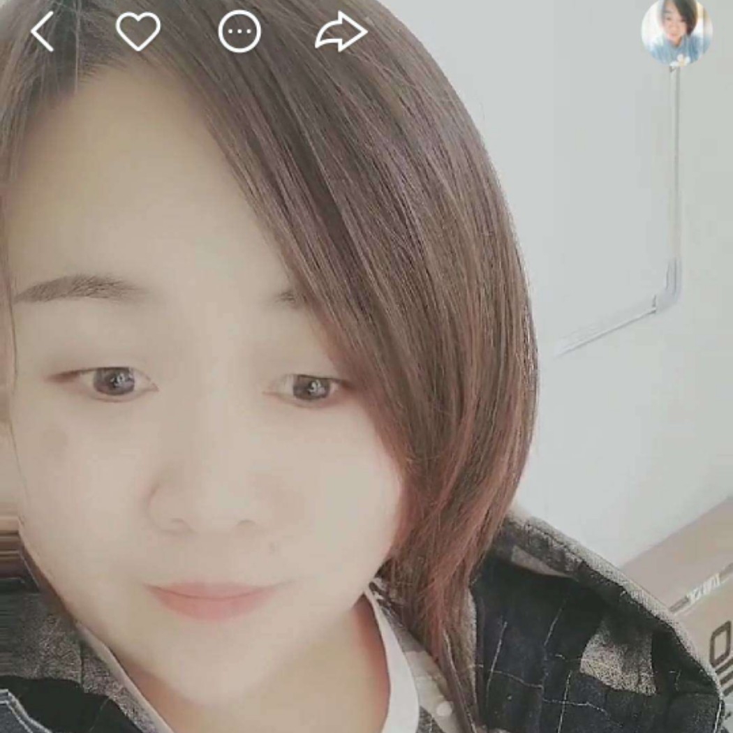 黄豆1的照片