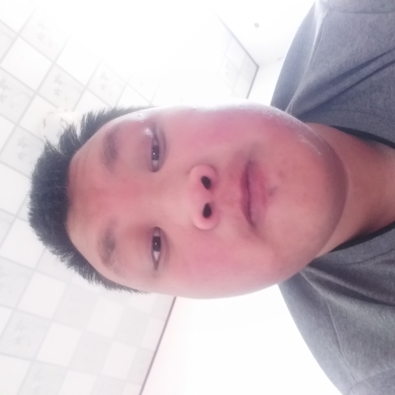 金毛勤劳的照片