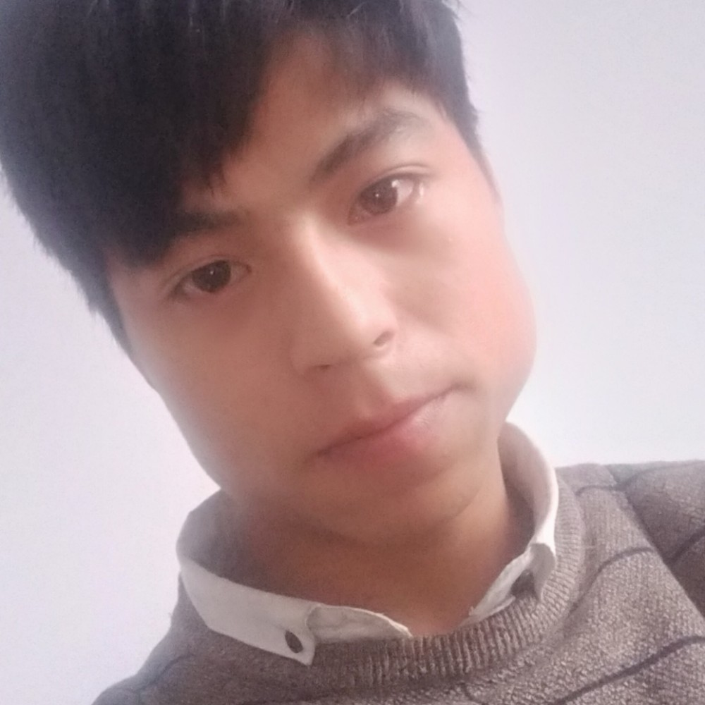 飞鸟彪壮的照片