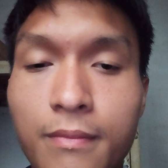 ，泽豪的照片