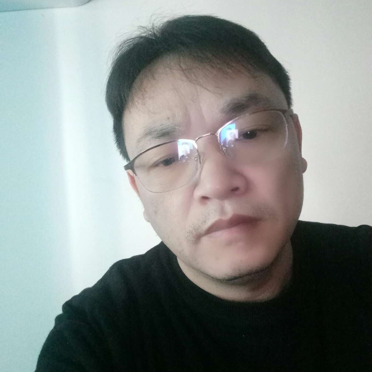 小海豚闻腼腆的照片