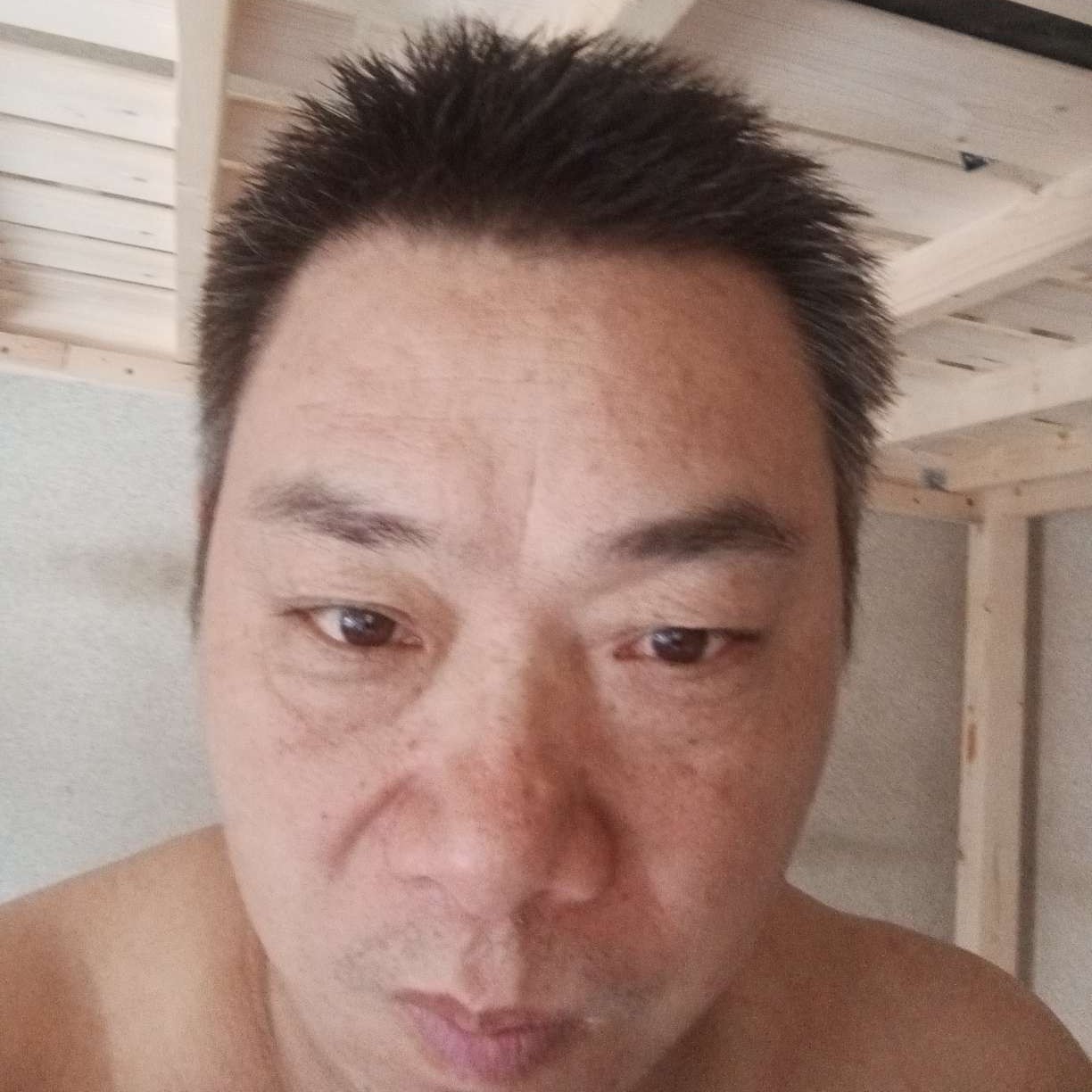 枫叶邂逅自觉的照片