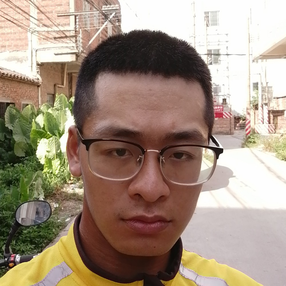 白昼深拥明亮的照片