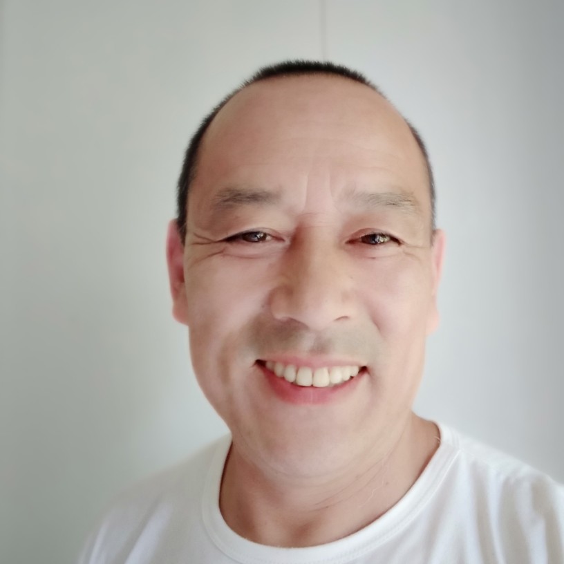 红叶子树的照片