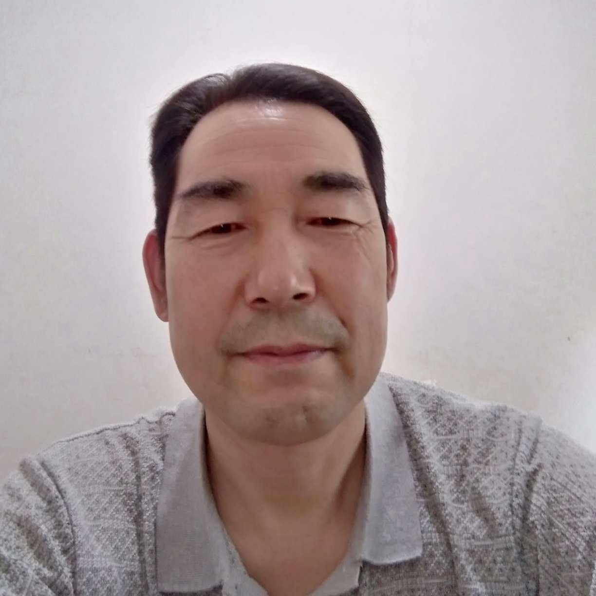 含羞草打疯狂的照片