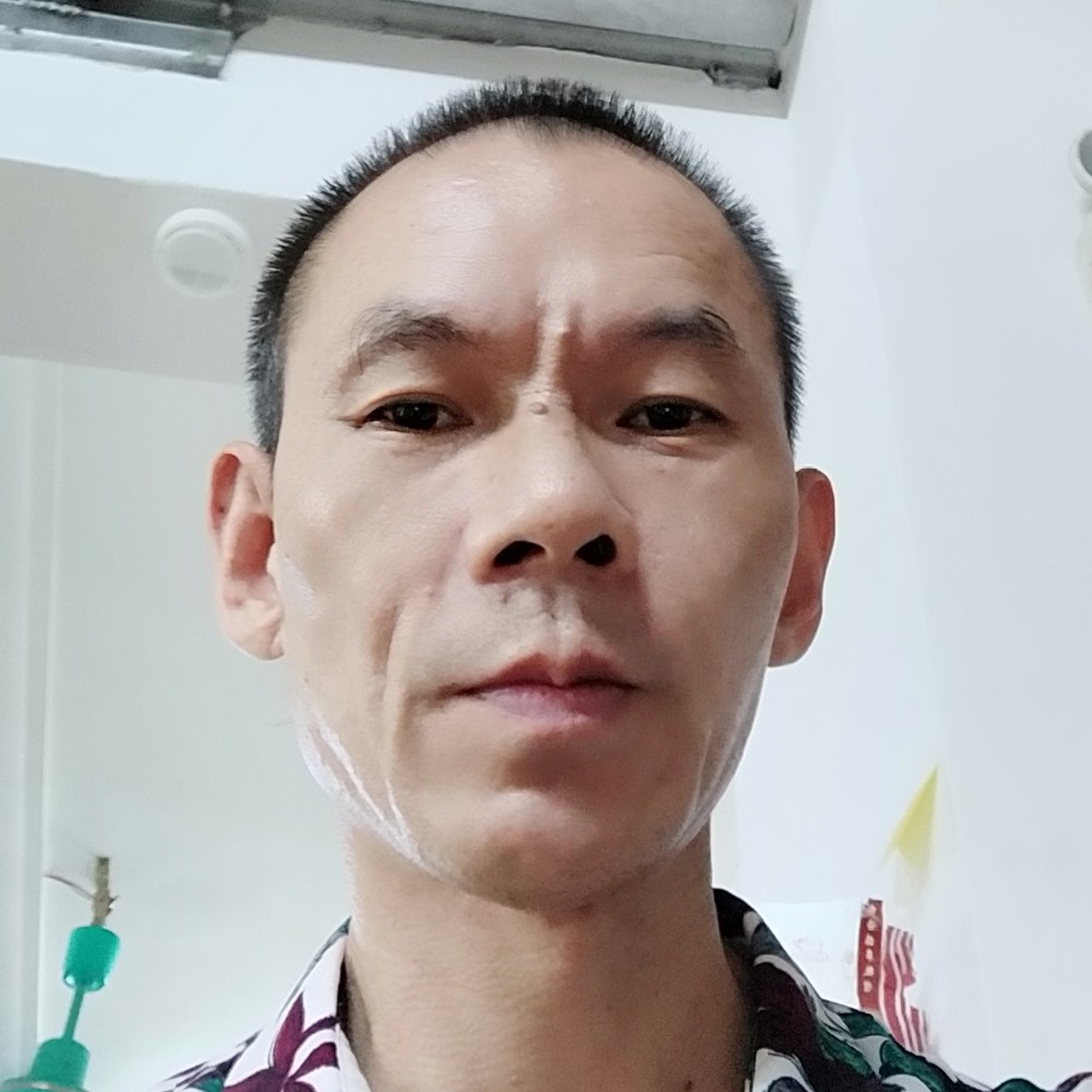 欢乐木马的照片