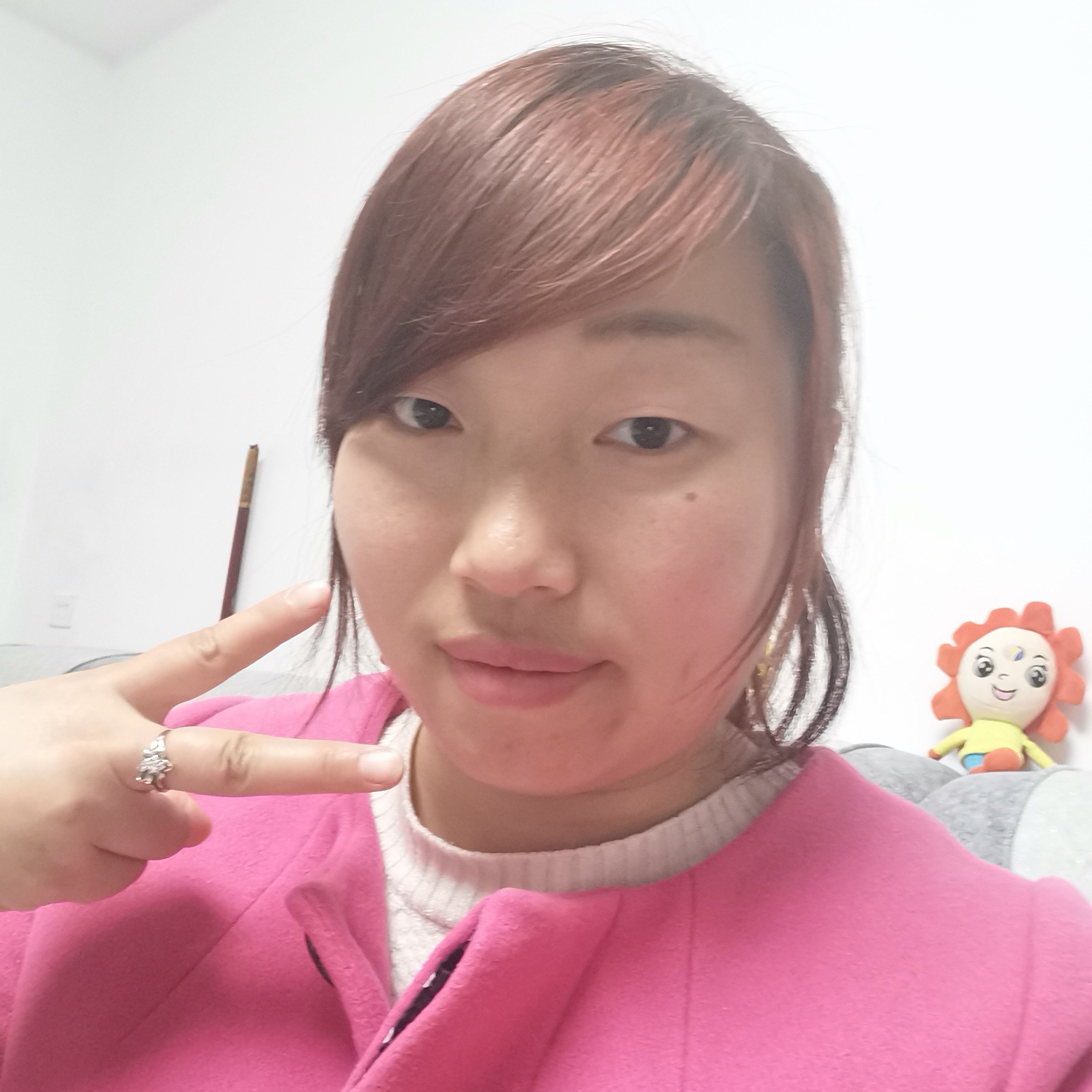 紫菜愿喜悦的照片