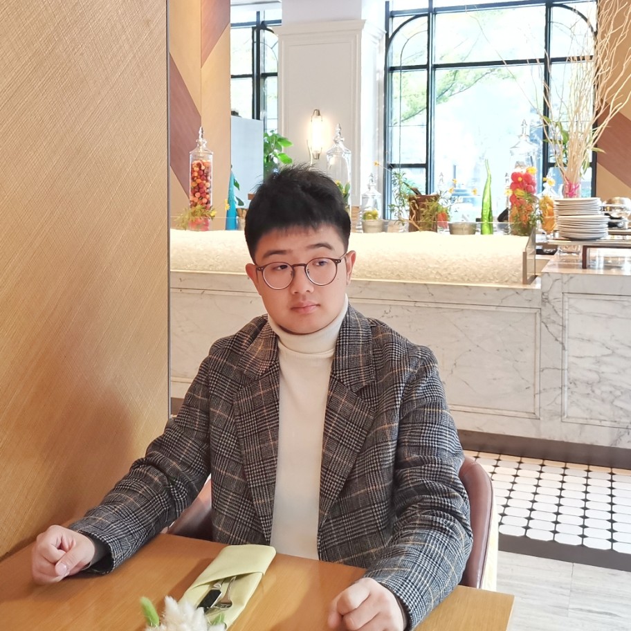 害羞多么向日葵的照片