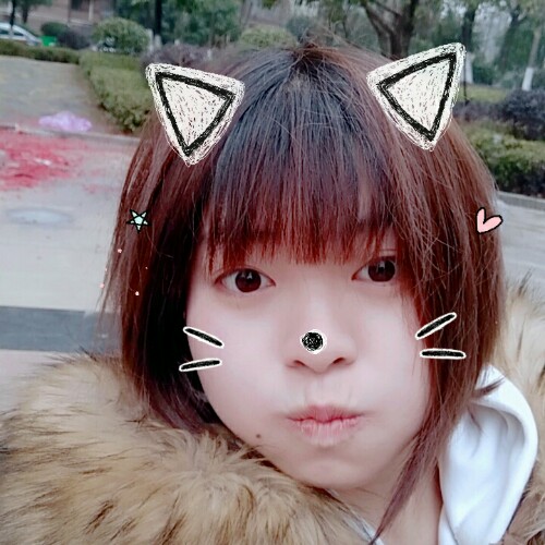 等鱼的照片