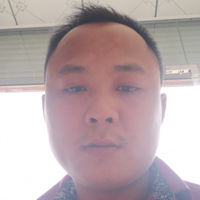 酷酷迎向日葵的照片