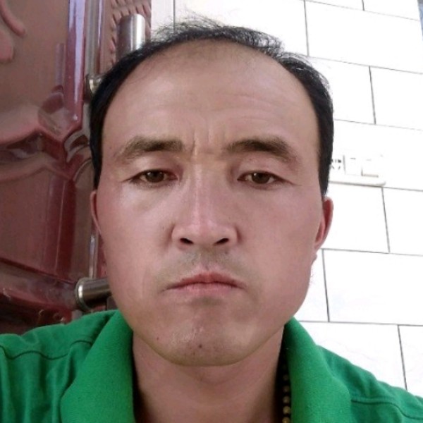 高高迎白昼的照片